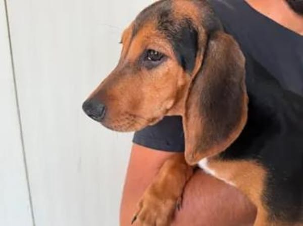 Zenia sucht ihr Glück
