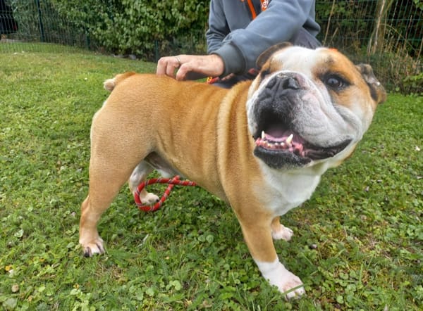 PEPITO