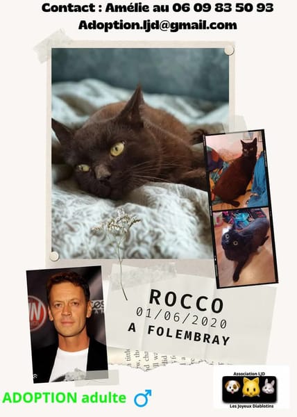 Rocco