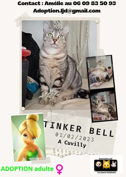 Tinker bell