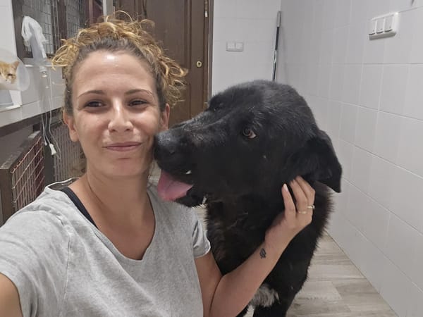 BOLO  (Animalea)