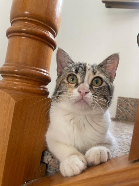 LUNA