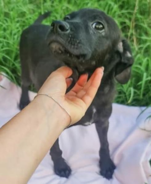 Lucuis ❤so süß