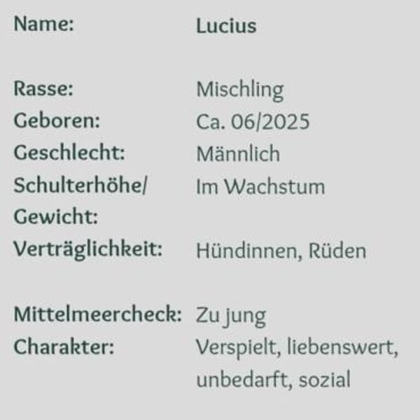Lucuis ❤so süß