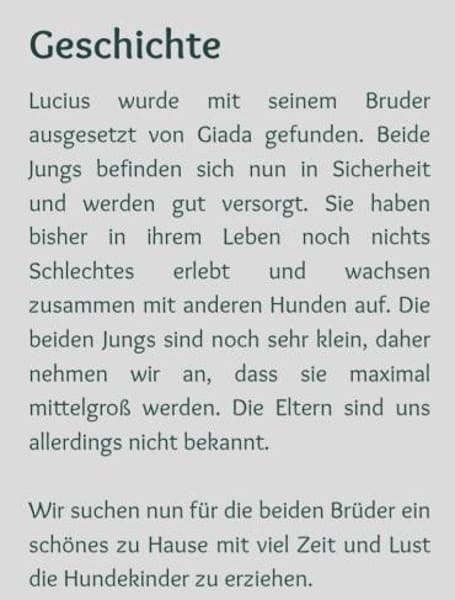 Lucuis ❤so süß