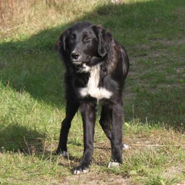 Lilly - Familienglück gesucht
