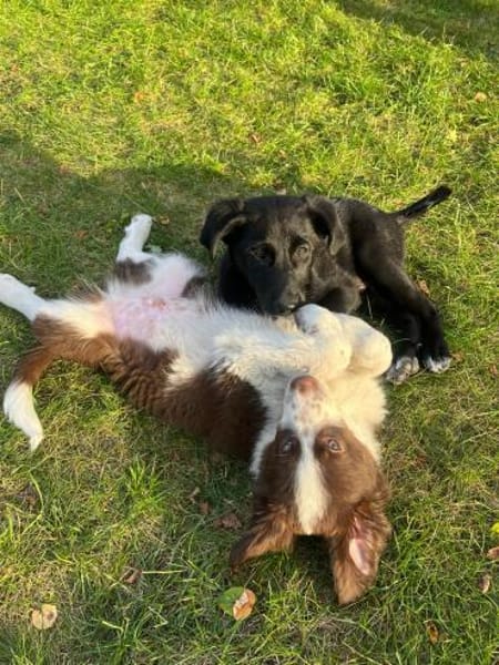 Einfach nur Zucker