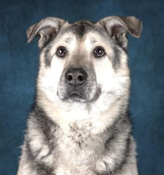 Janno - Menschen mit Erfahrung gesucht