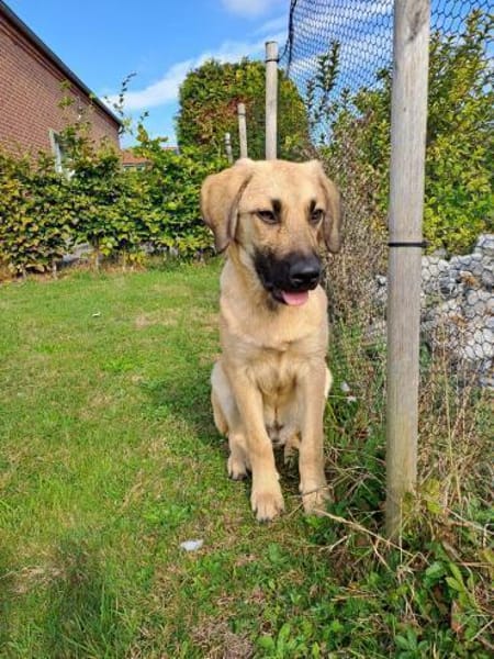💙Titus💙sucht seine Familie