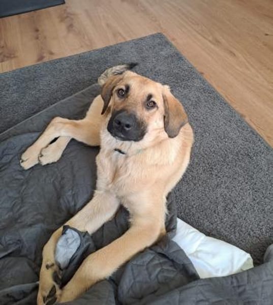 💙Titus💙sucht seine Familie