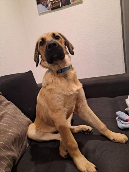 💙Titus💙sucht seine Familie
