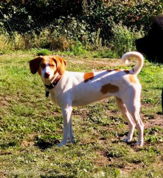 💕Cleo💕sucht ihre Menschen🐾💕🐾