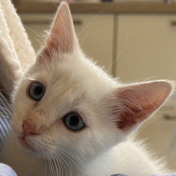 CASPER