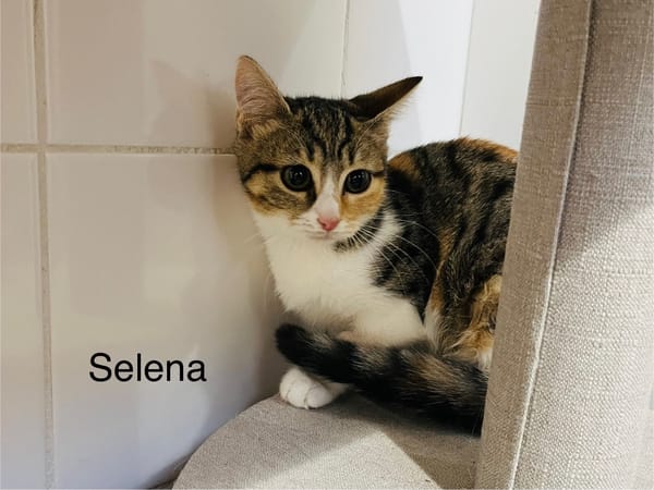 Selena