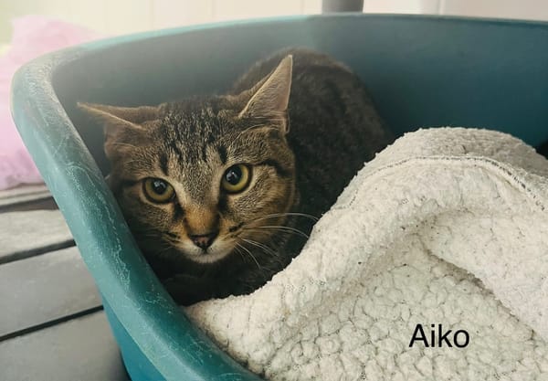 Aiko