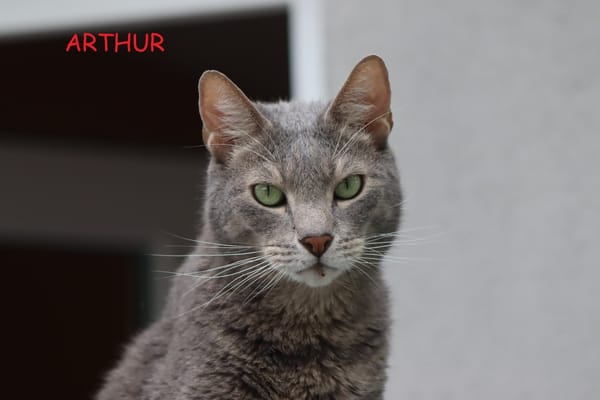 Arthur