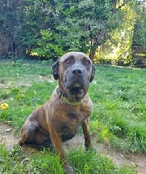 RUBY