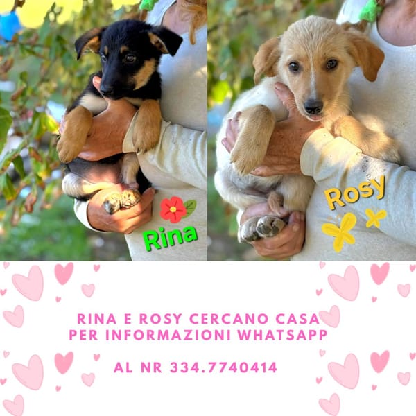 Rina e Rosy