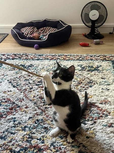 Milo
