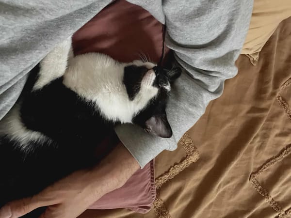 Milo
