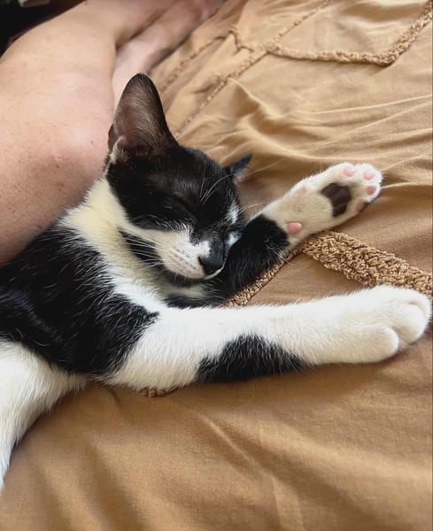 Milo