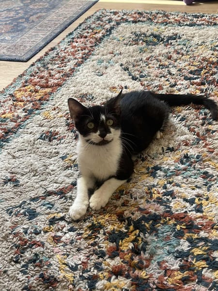 Milo