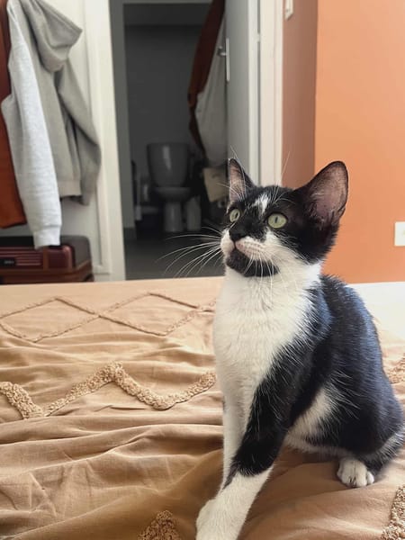 Milo
