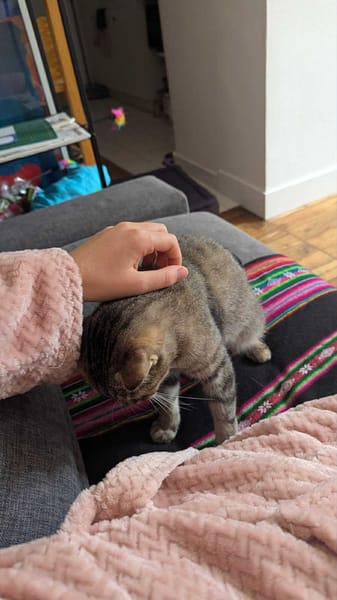 Nala