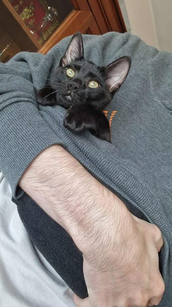 Audrey