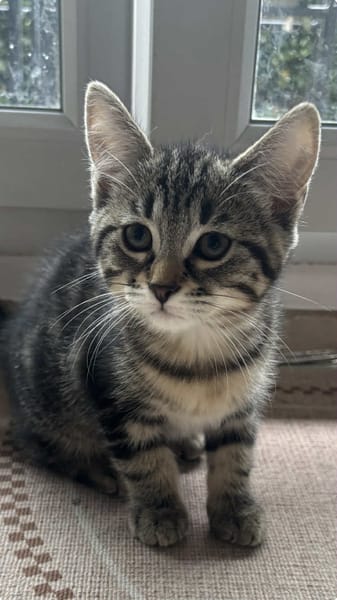 Kira