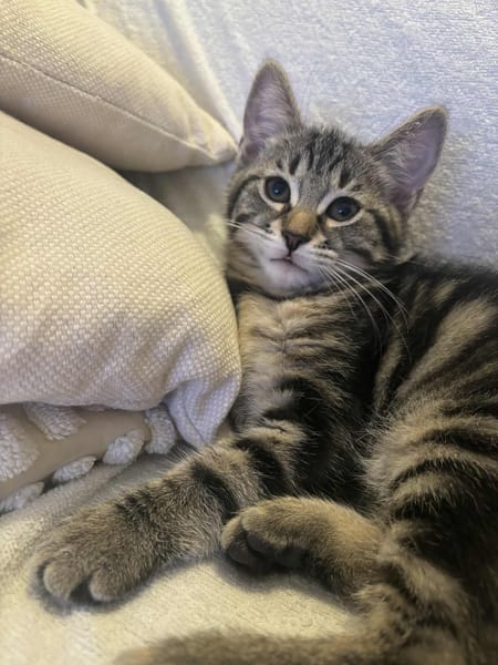 Kira