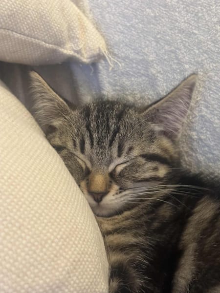 Kira