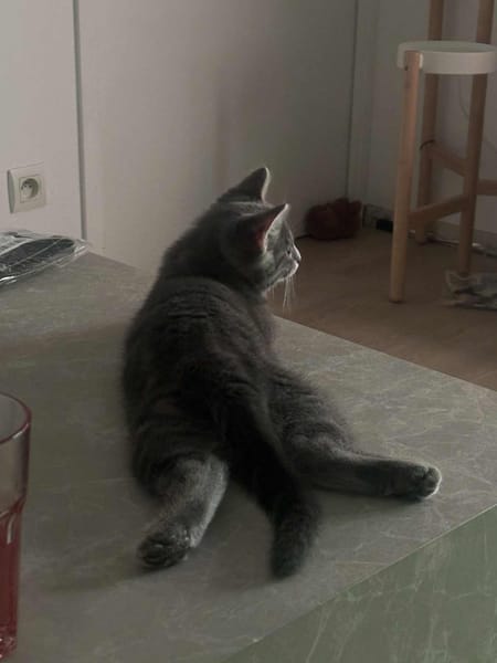 Malo
