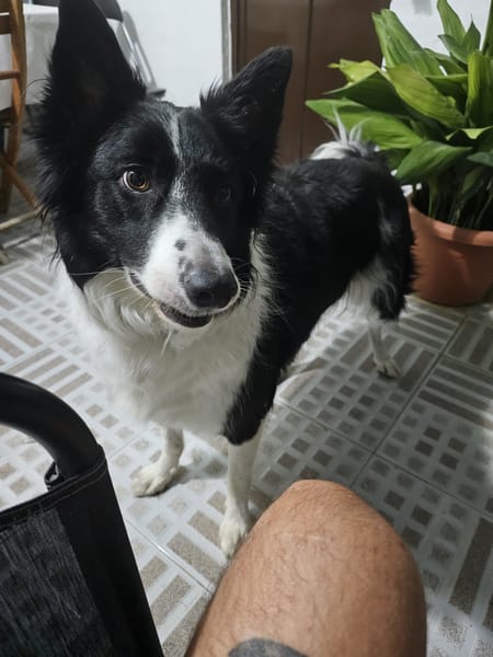 OREO