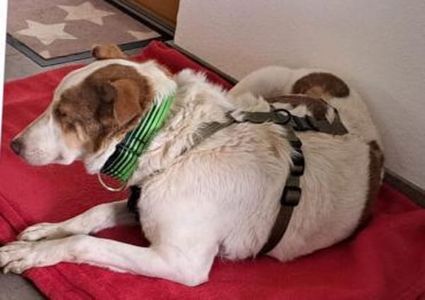 HELEN, lieb und sanft