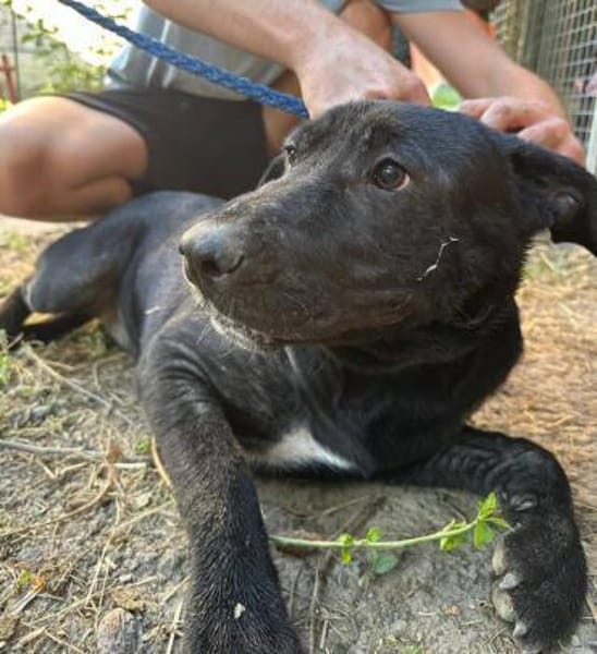 OTTO 2 sucht seine Menschen