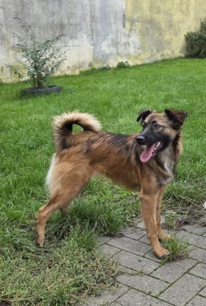 Chanel - gerade noch gerettet!