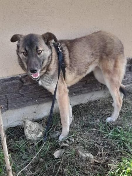 EMILIA - sucht Familienanschluss