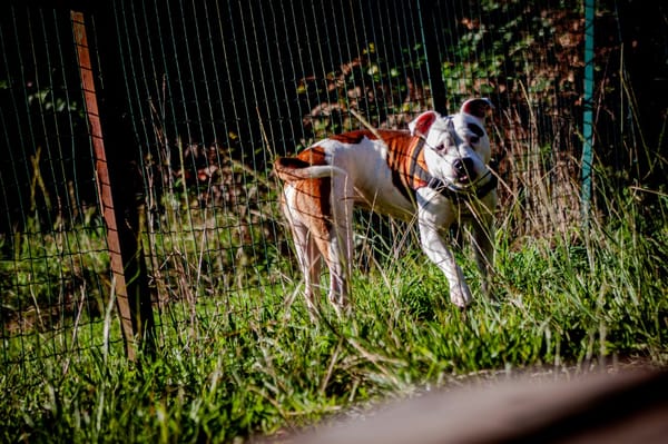 MOLLY (réservée)