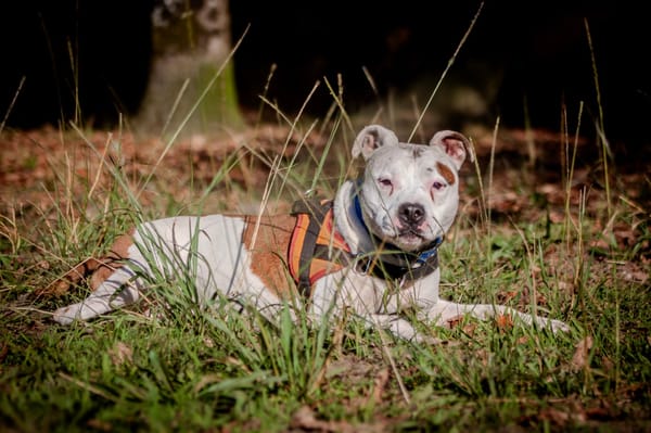 MOLLY (réservée)