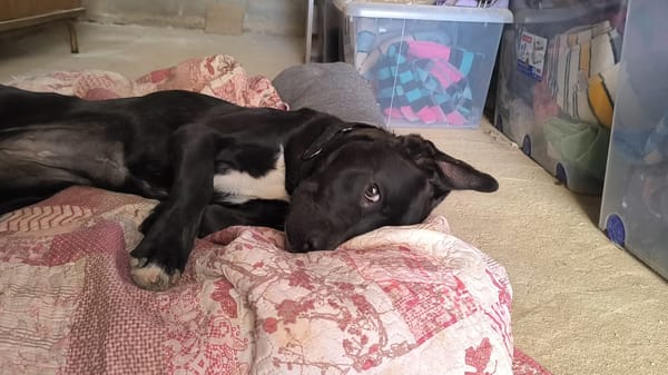 LUNITA (Rescate)