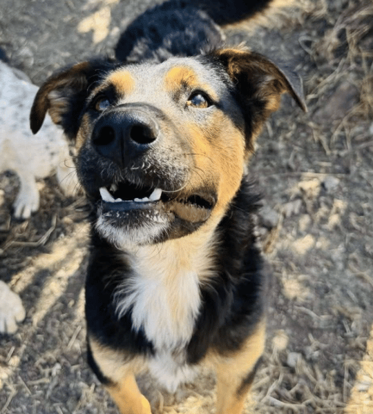 Chaos 💙