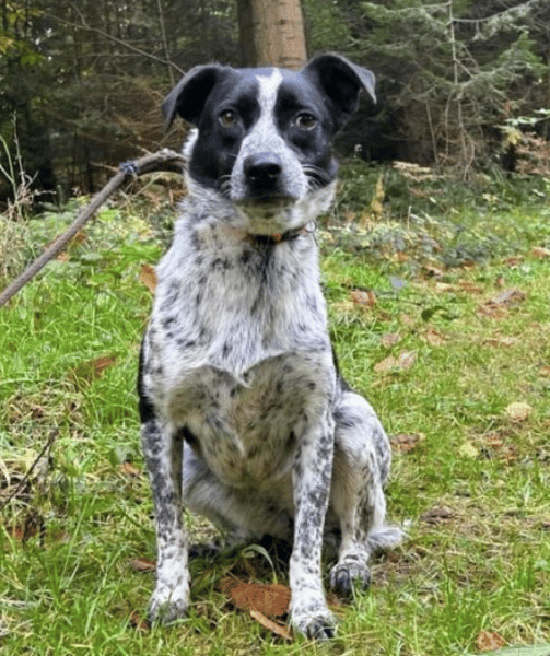 Nella