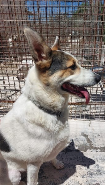 BALU', cerca casa