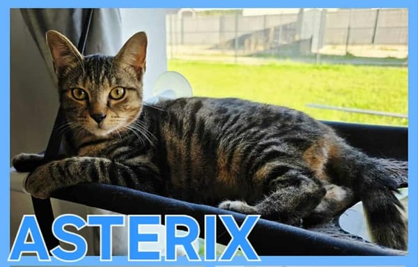 ASTERIX