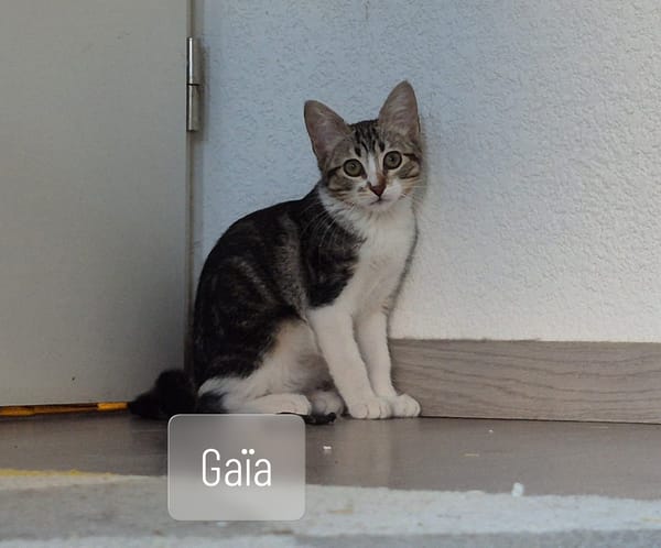 Gaia