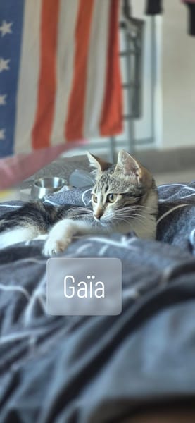 Gaia