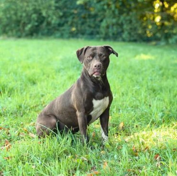 Ronja - ist ausgeglichen