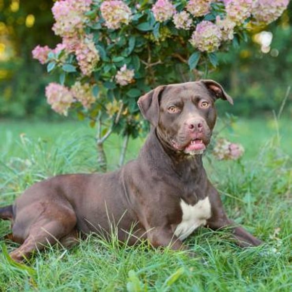 Ronja - ist ausgeglichen