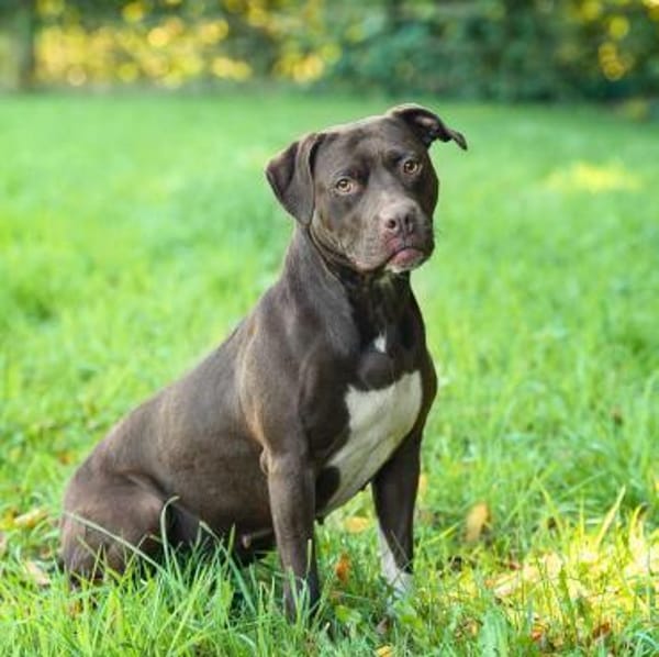 Ronja - ist ausgeglichen